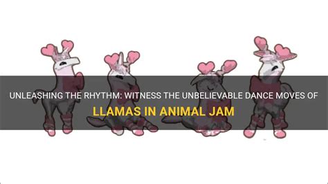 Do llamas dance to music? An exploration of animal responses to rhythm