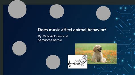 does music affect on animal behavior how does music influence human emotions?