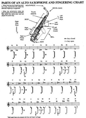 How to Read Saxophone Sheet Music: A Guide to Music Literacy for Saxophonists