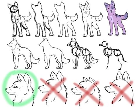 how to sketch a wolf and the importance of perspective in storytelling