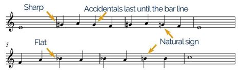 what are accidentals in music and why do they matter in creating unique sounds?