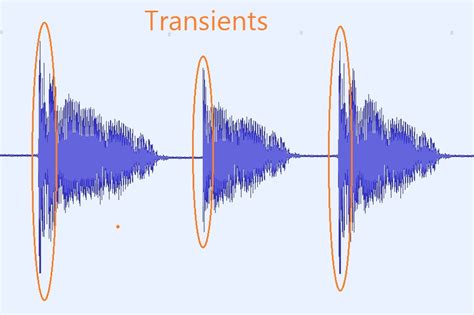 what are transients in music what does it mean to be transient